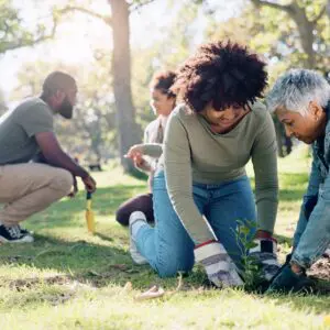 A group of four people planting small plants in a park on a sunny day, with trees and sunlight in the background.